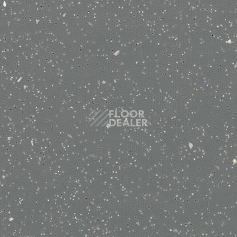 Линолеум Forbo SureStep Original 172092 granite фото 1 | FLOORDEALER